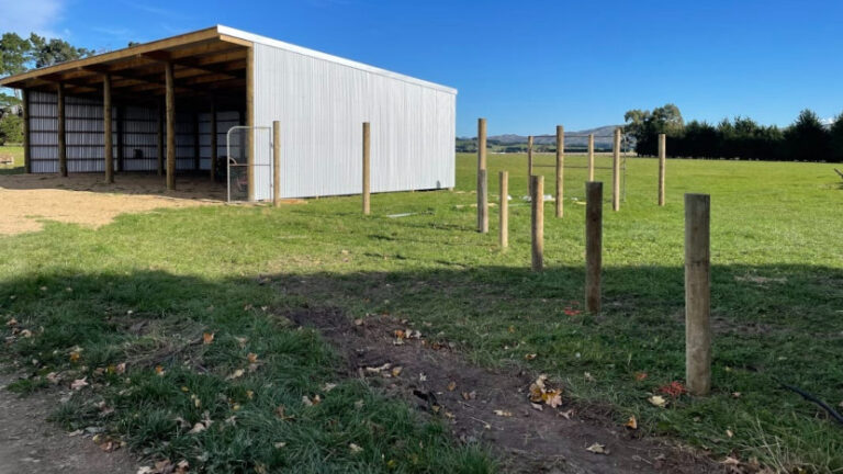 silverlinefencing 3 768x432