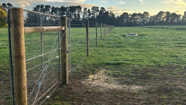 silverlinefencing 5 768x432