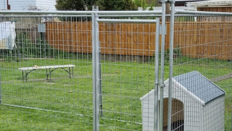 360fencehire 5 768x432