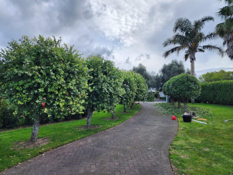 371890672 279993794779609 6177519225215640641 n 768x576