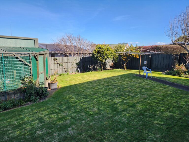 371926797 279993708112951 5860018474675353494 n 768x576