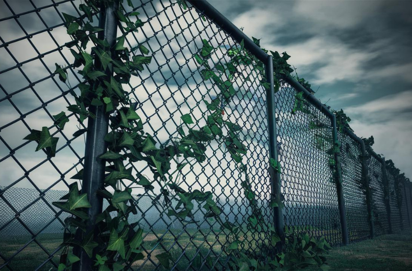 Chain-Link Fencing