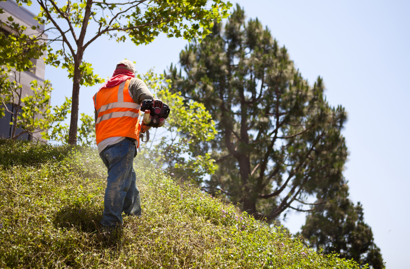 landscapers