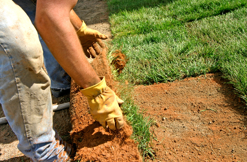 landscapers do ground preparation