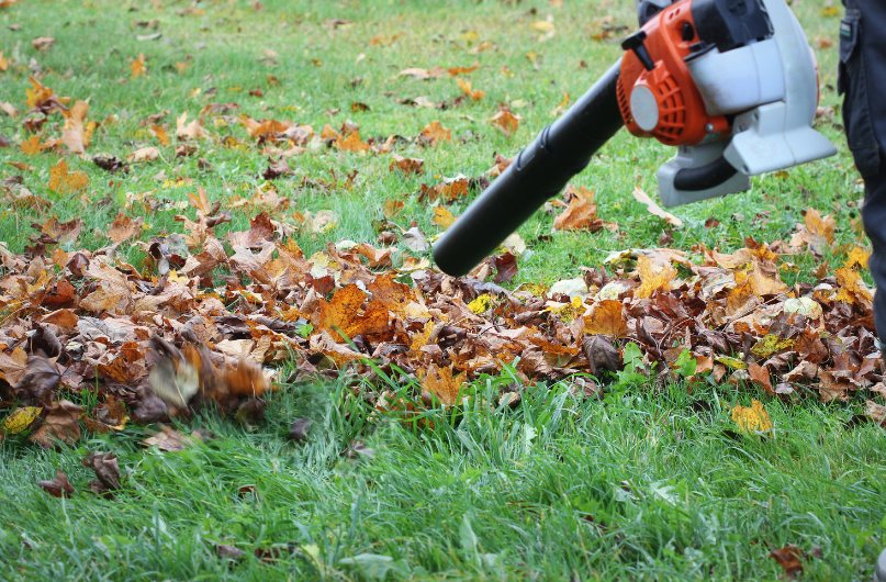  landscaping tips in Autumn for New Zealand