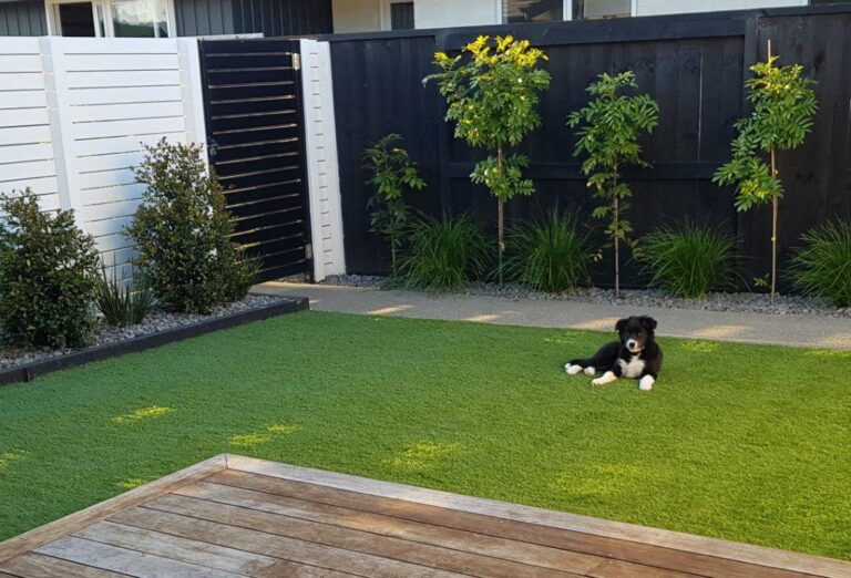 level earth landscaping 1 768x522