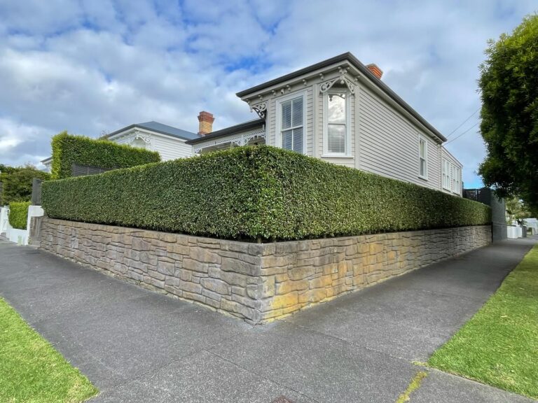 mabey mows 2 768x576