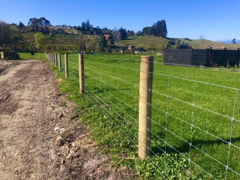 millar fencing 1 768x576