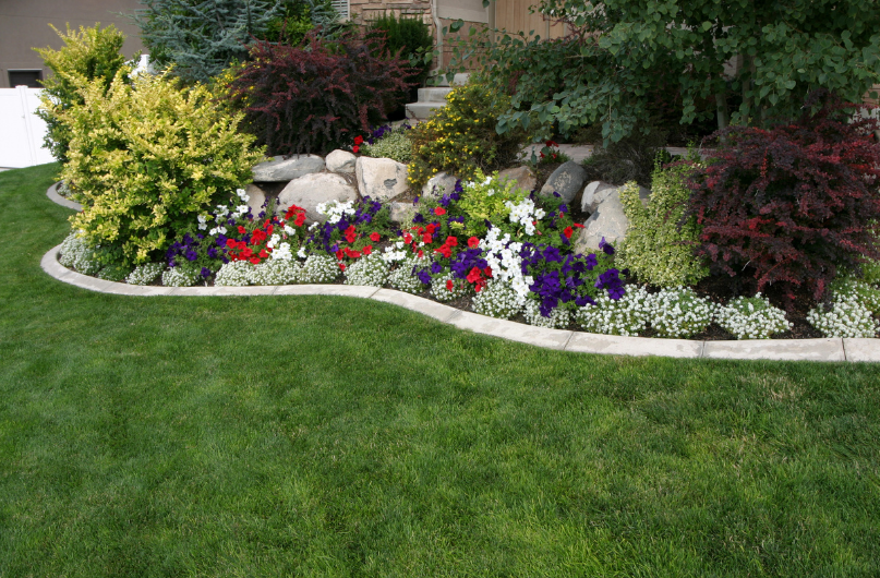 summer landscaping tips for new zealand