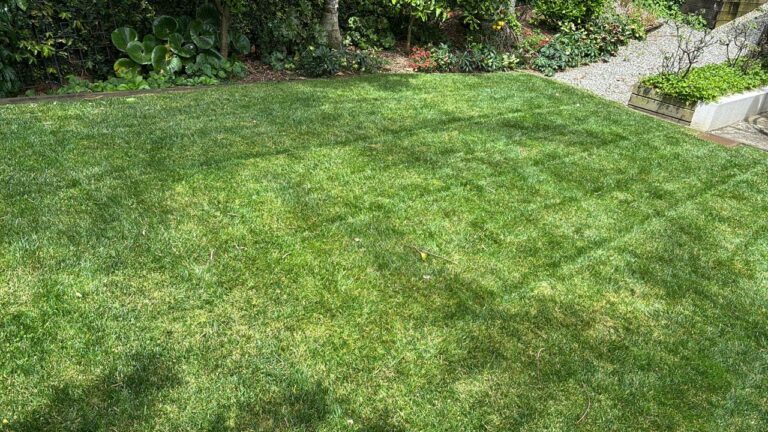 Leaf It To Us Gardeners 1 768x432