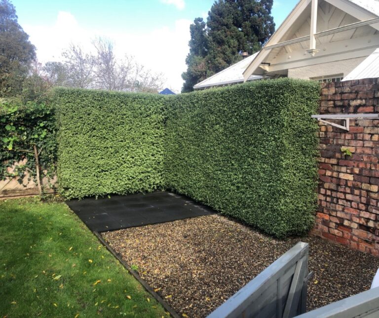 Leaf It To Us Gardeners 3 768x644