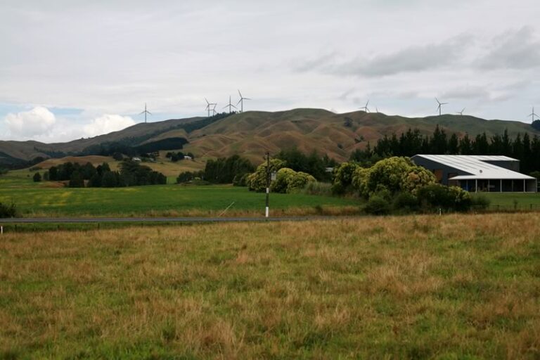 mansergh graham 2 768x512