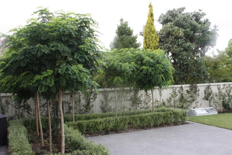 michelle mcdonell 1 768x512