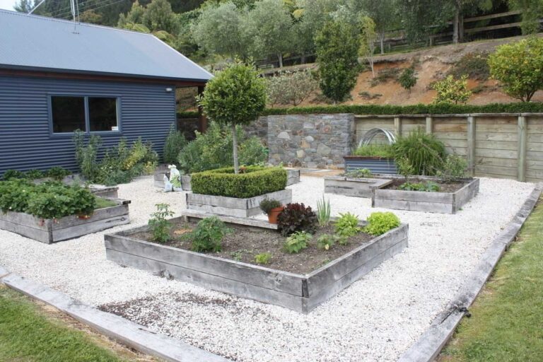 michelle mcdonell 2 768x512