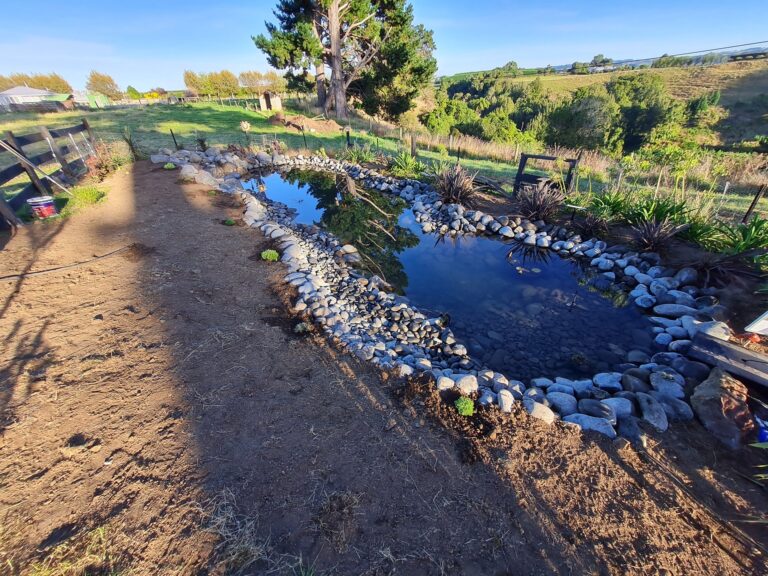 modscape nz 1 768x576