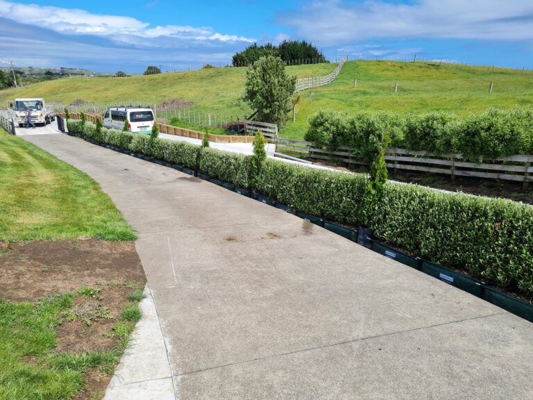 modscape nz 3 768x576