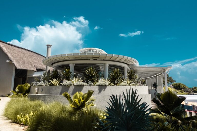 ray the landscaper 1 1 768x512