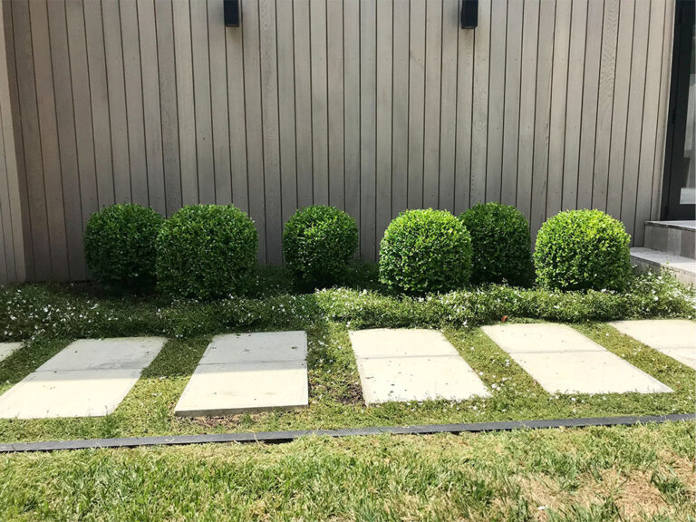 masterscape 2 768x576