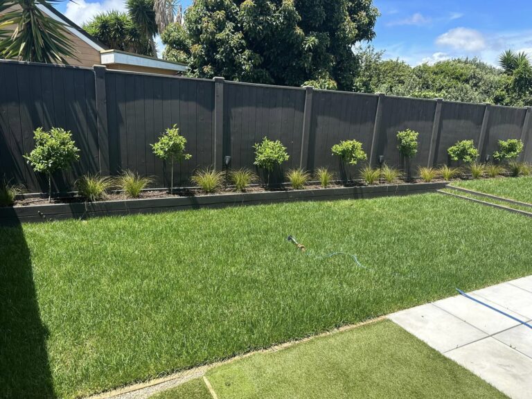 plant express 1 768x576