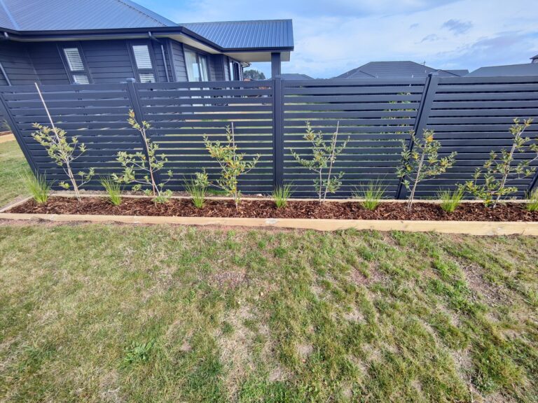 plant express 2 768x576