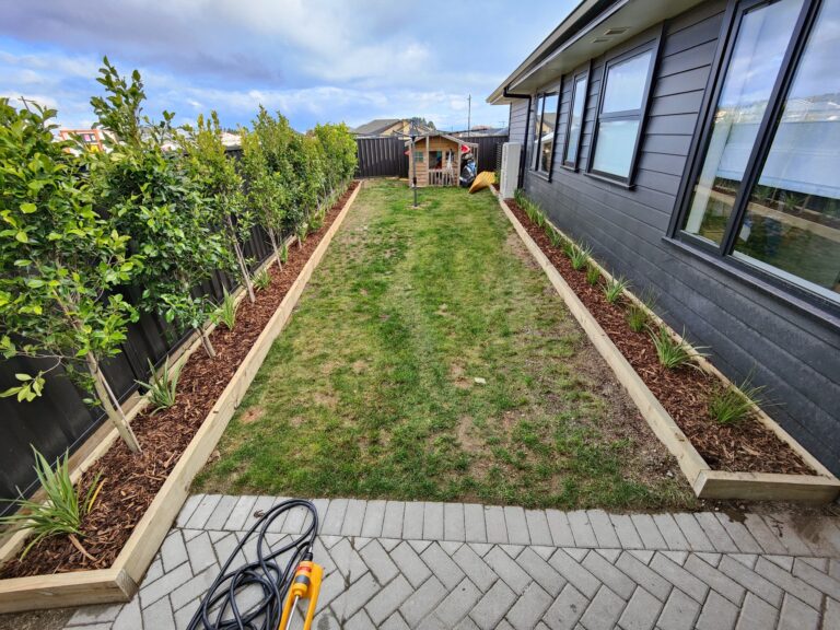 plant express 3 768x576