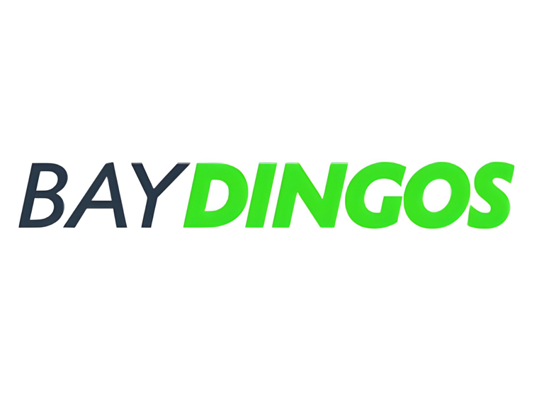 Bay Dingos 4