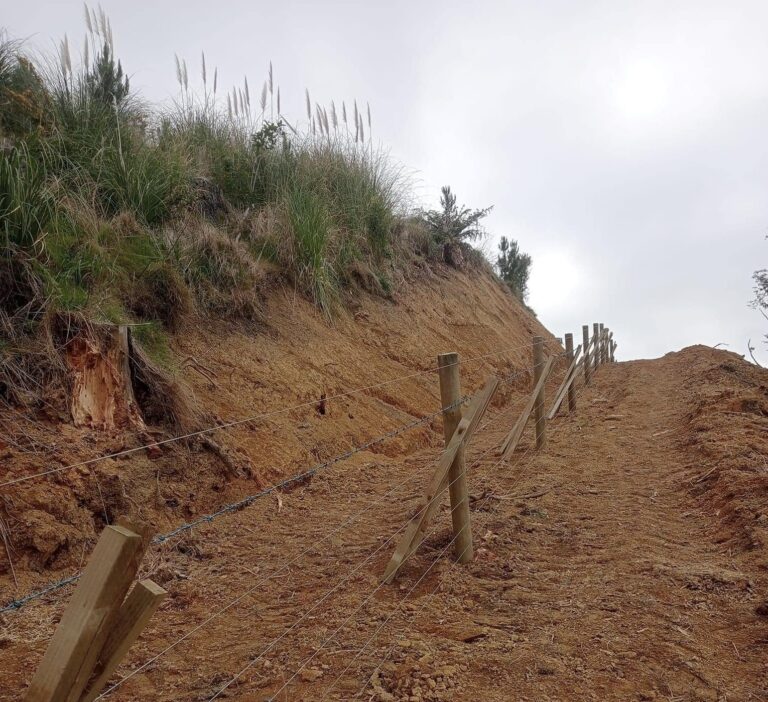 CPC Fencing 1 768x702