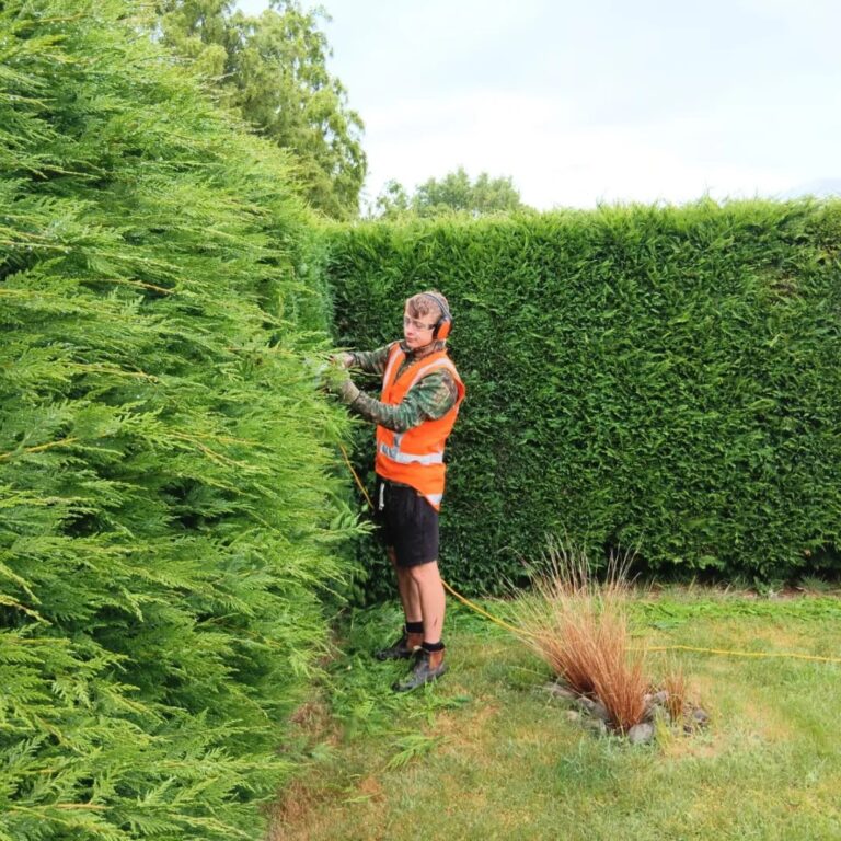 Fresh Start Gardening and Maintenance 2 768x768