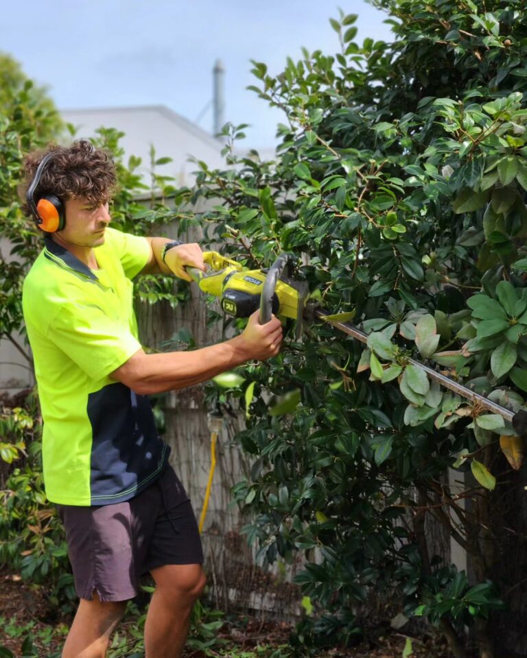 Fresh Start Gardening and Maintenance 3 768x960