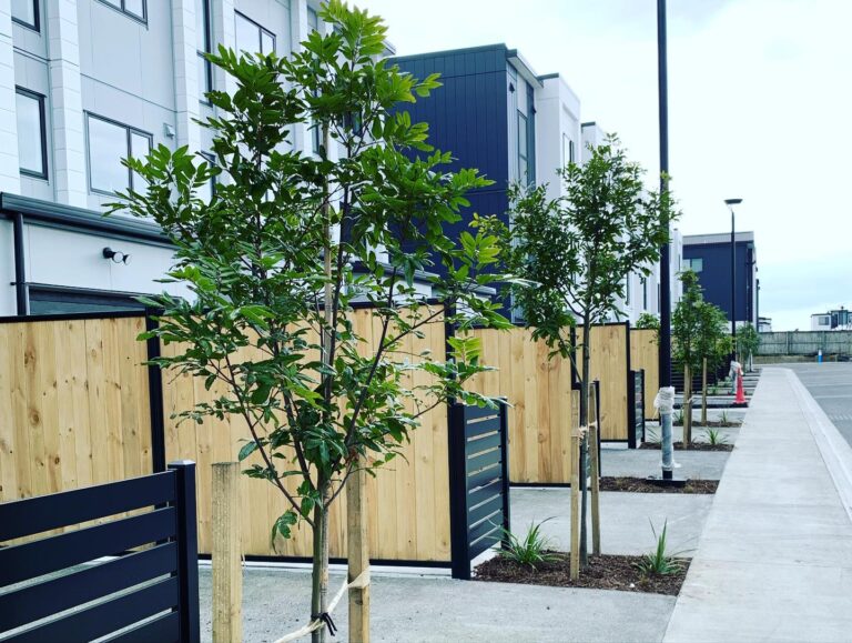 JWH Studio Landscape Architect 2 768x579