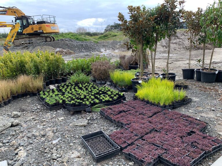 JWH Studio Landscape Architect 3 768x576