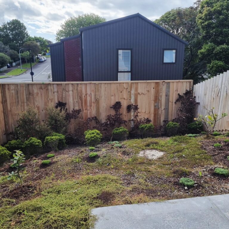 Medusa Hardscapes 1 768x768