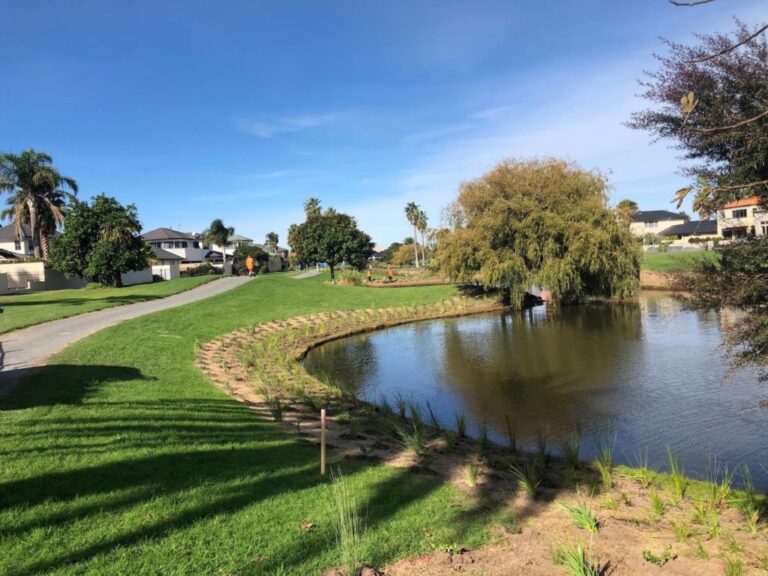 cgc 1 768x576