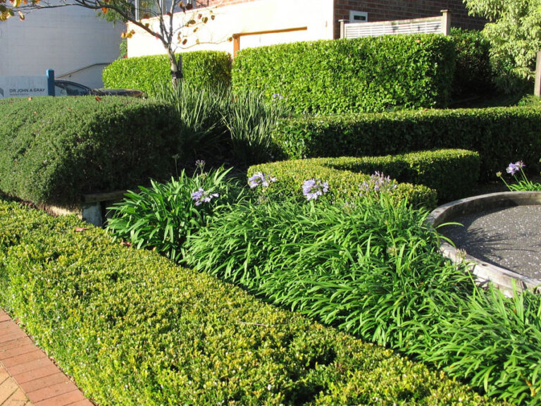 guy brackebush 2 768x576