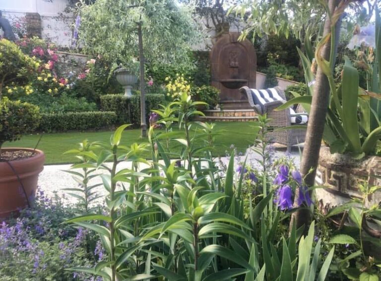 john mckenzie gardening 1 768x567