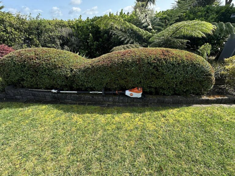 kakariki gardens 1 768x576