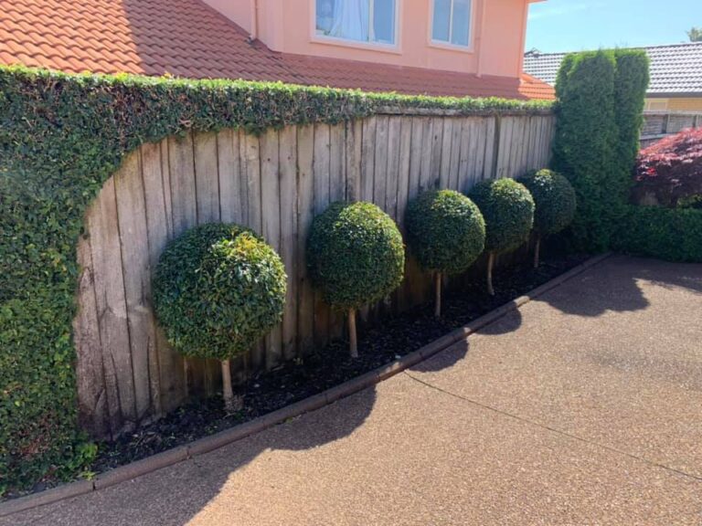 kakariki gardens 3 768x576