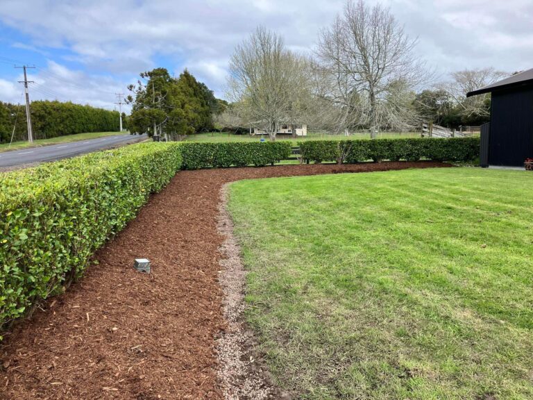 ladies who lawn 2 768x576