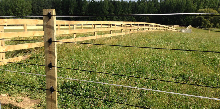 mdl fencing 2 768x381