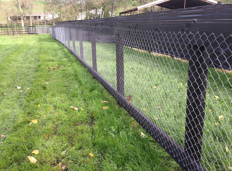 mdl fencing 3 768x566
