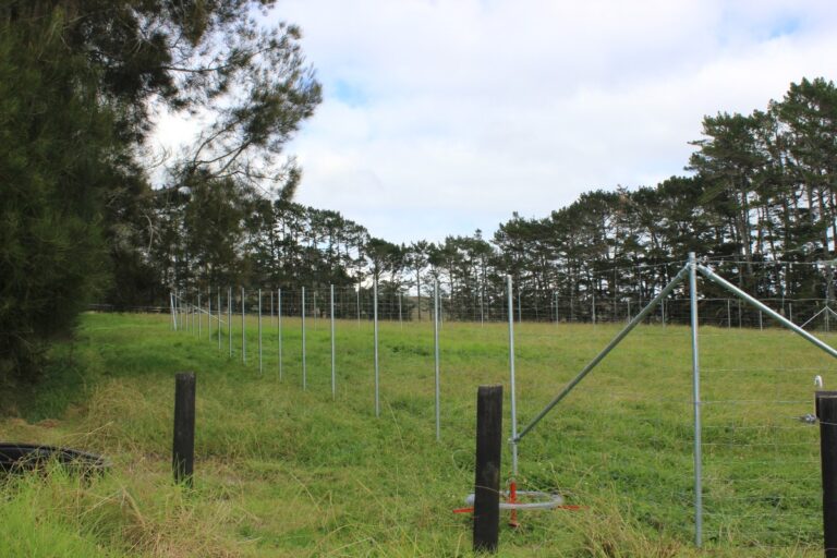 safe t fence 1 768x512