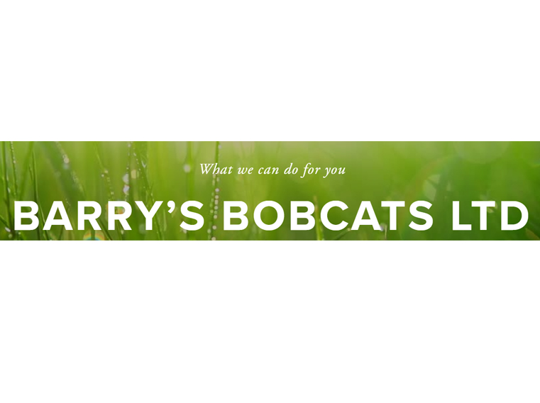 Barrys Bobcats Ltd 1