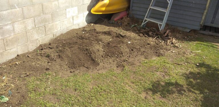 Bay Stump Removal 2 768x378