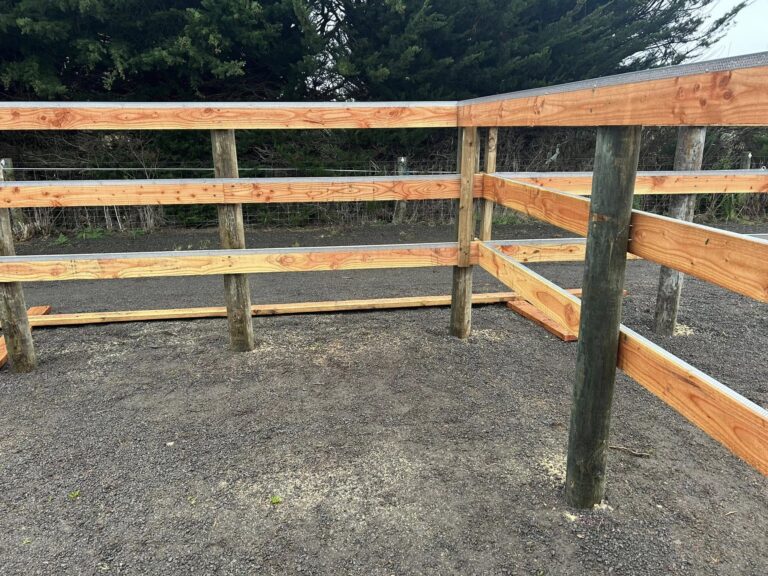North Canterbury Fencing 1 768x576