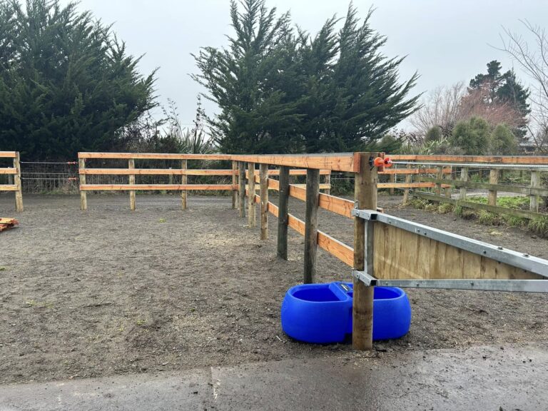 North Canterbury Fencing 2 768x576