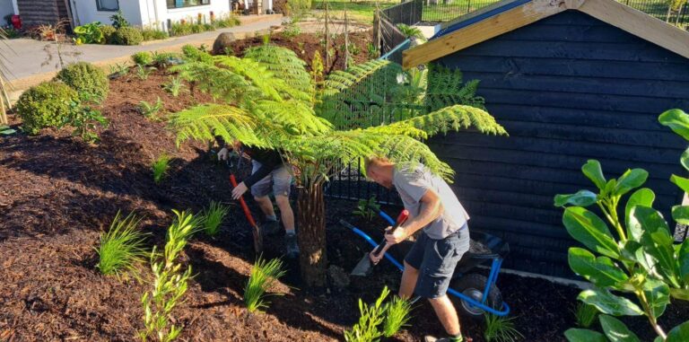 Space Design Est 2017 Ltd 1 768x381