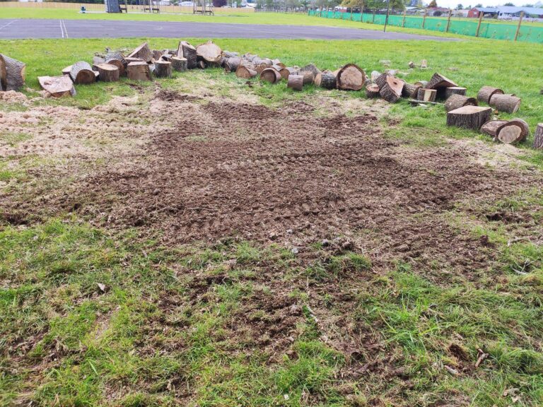 Stump Grinding 1 768x576