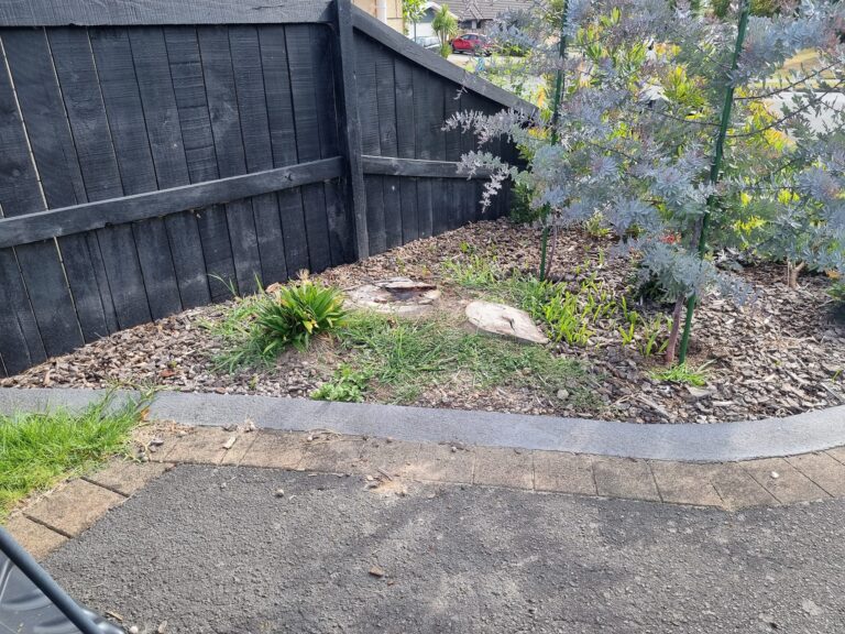 Stump Grinding 3 768x576