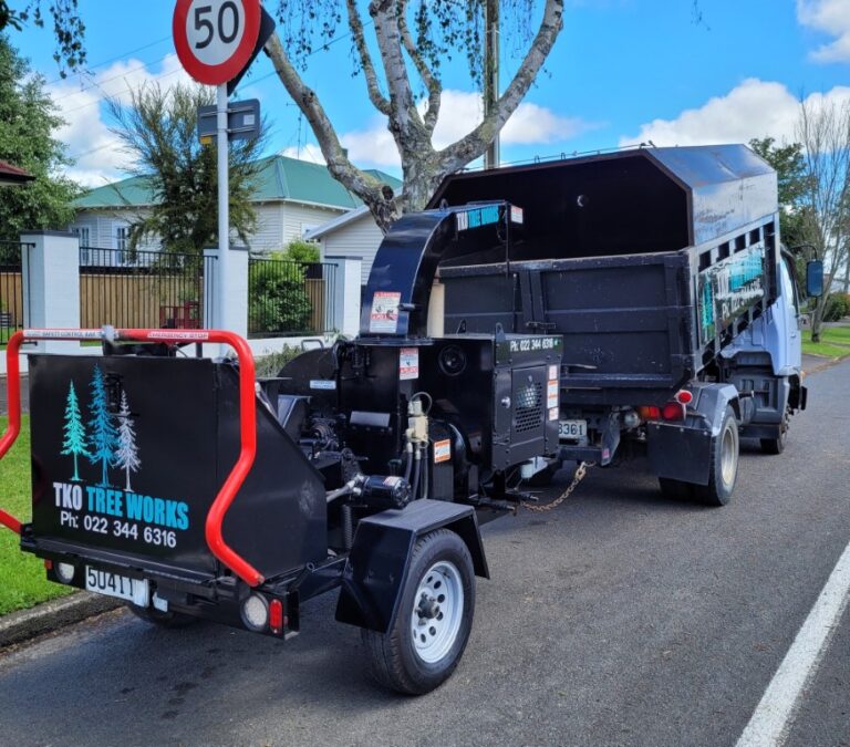 TKO Tree Works 1 768x675