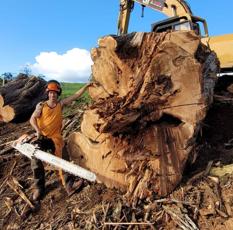 TKO Tree Works 3 768x760